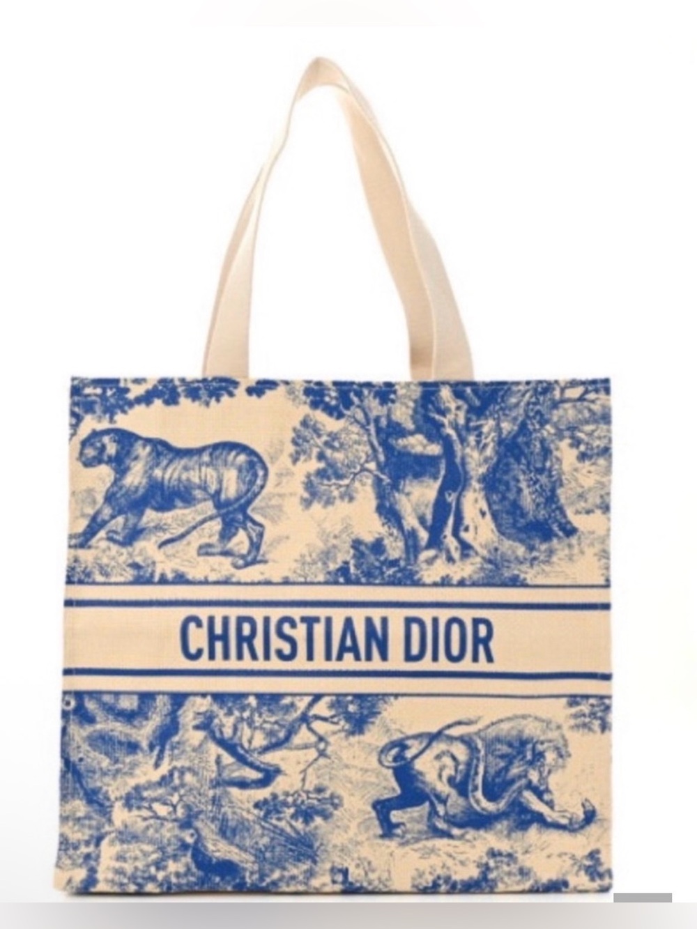 Dior Blue and Cream Book Tote